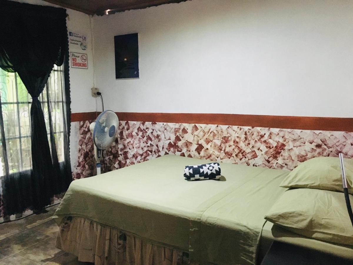 شقة Typical House Bluefields المظهر الخارجي الصورة
